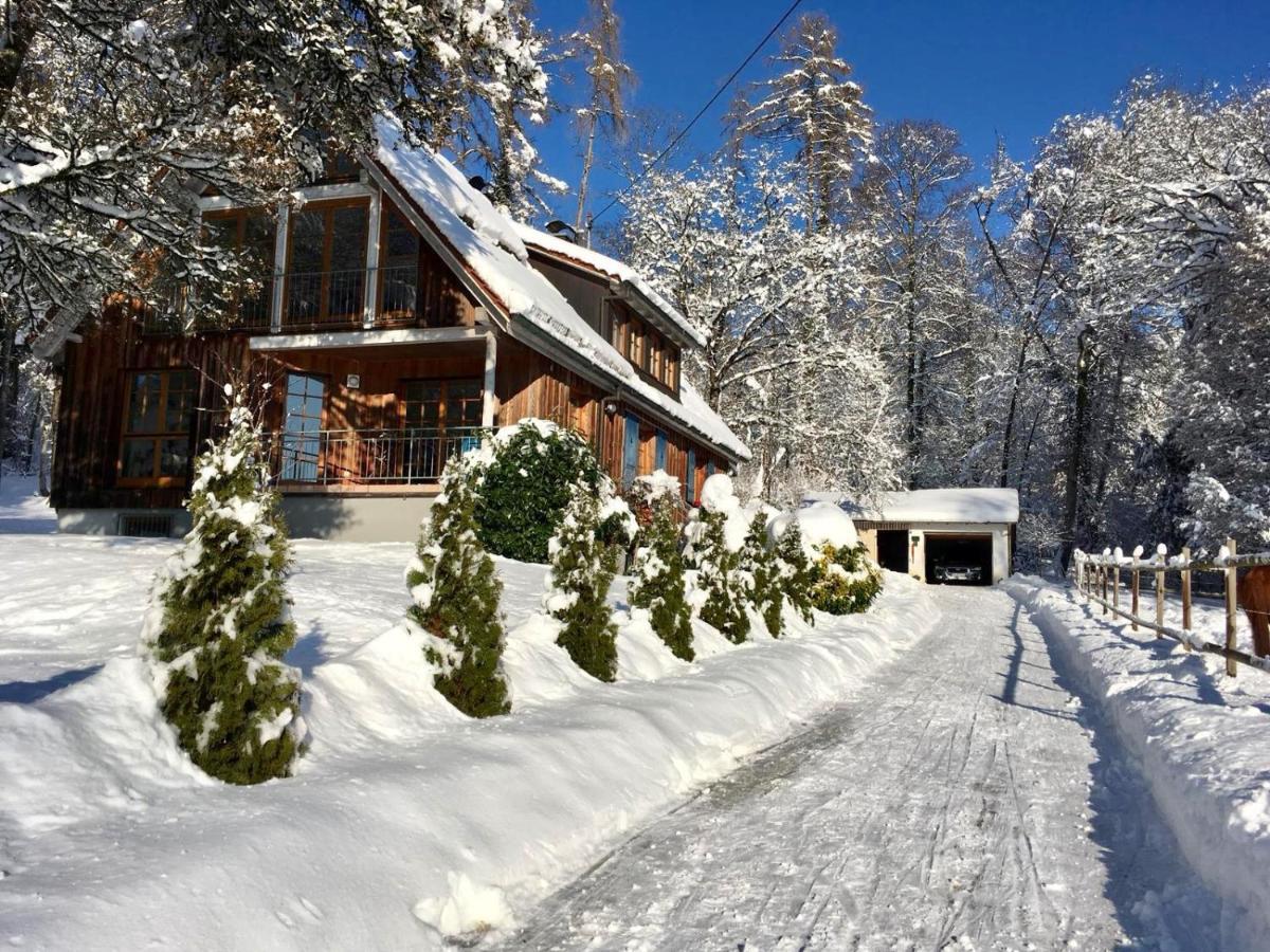 Ferienwohnung Im Alten Forsthaus Bermatingen Exteriör bild